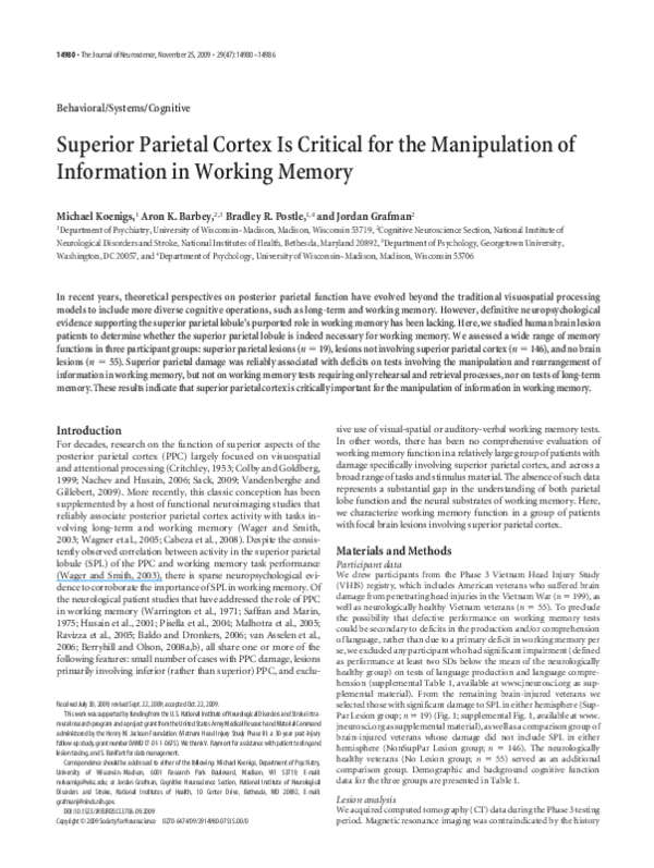 (PDF) Superior Parietal Cortex Is Critical for the Manipulation of ...