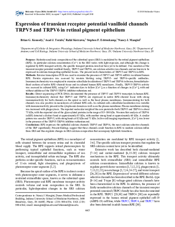 (PDF) Expression of transient receptor potential vanilloid (TRPV) 1, 2 ...