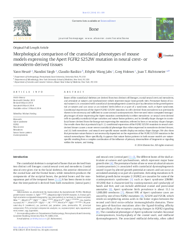 (PDF) Morphological comparison of the craniofacial phenotypes of mouse ...