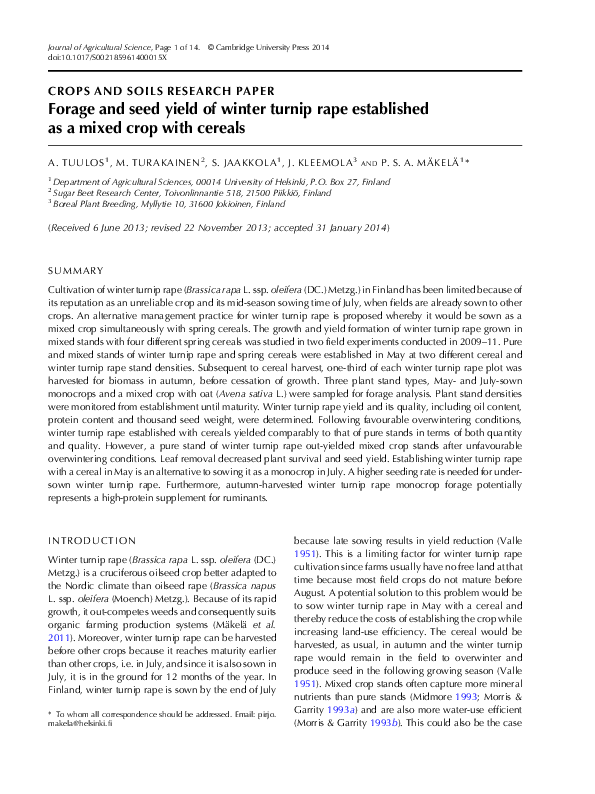 Turnip benefits image