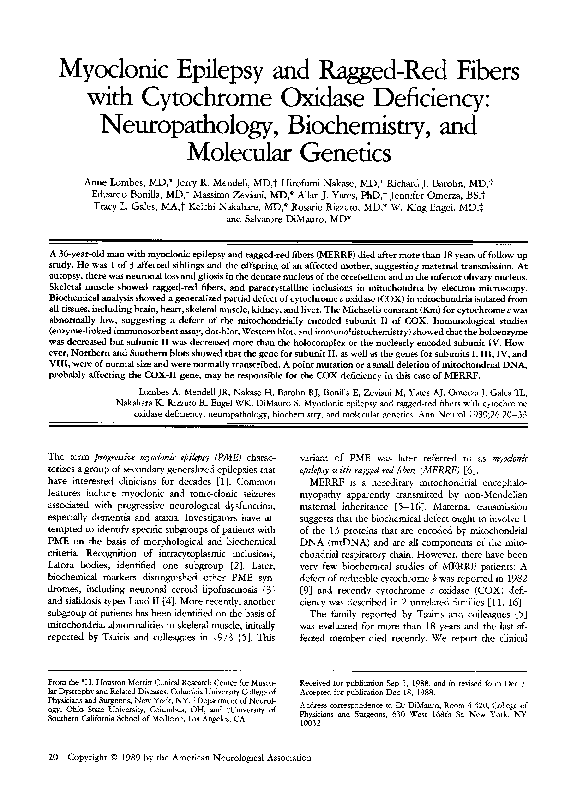 (PDF) Myoclonic epilepsy and ragged-red fibers with cytochrome oxidase ...