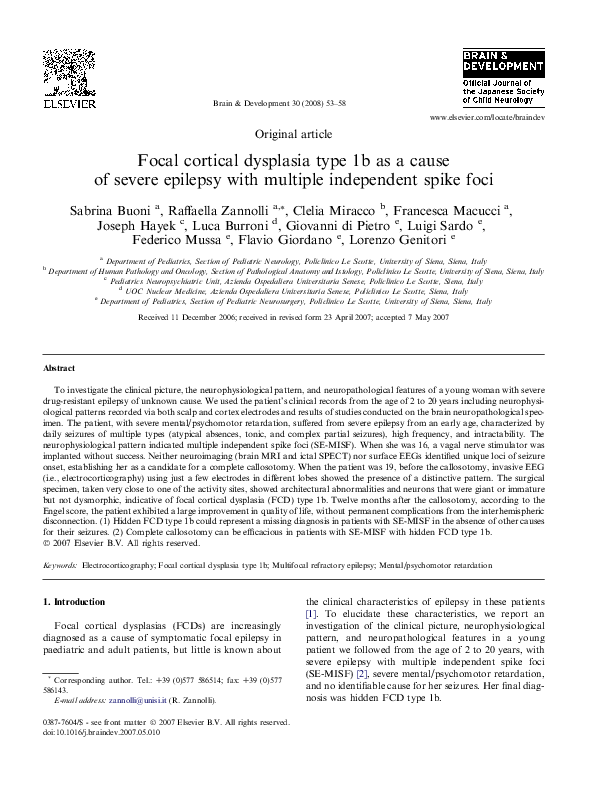 (PDF) Focal cortical dysplasia type 1b as a cause of severe epilepsy ...