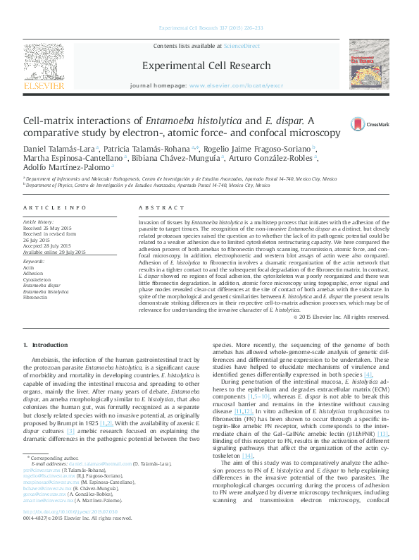 (PDF) Cell-matrix interactions of Entamoeba histolytica and E. dispar ...