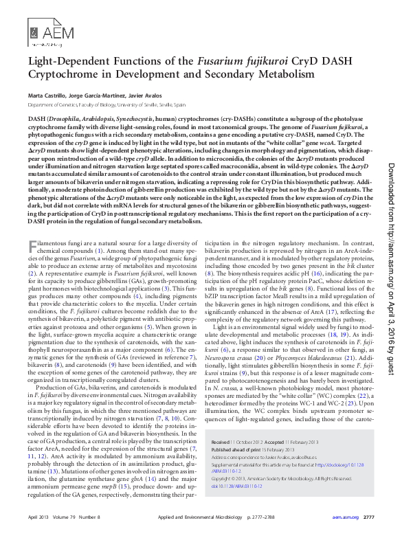 (PDF) Light-Dependent Functions of the Fusarium fujikuroi CryD DASH ...