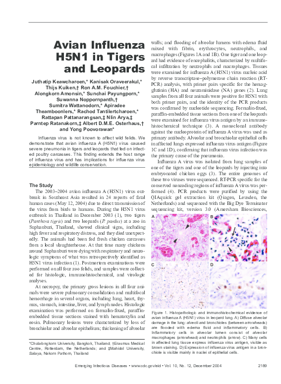 (PDF) Avian Influenza H5N1 in Tigers and Leopards | Kanisak Oraveerakul ...