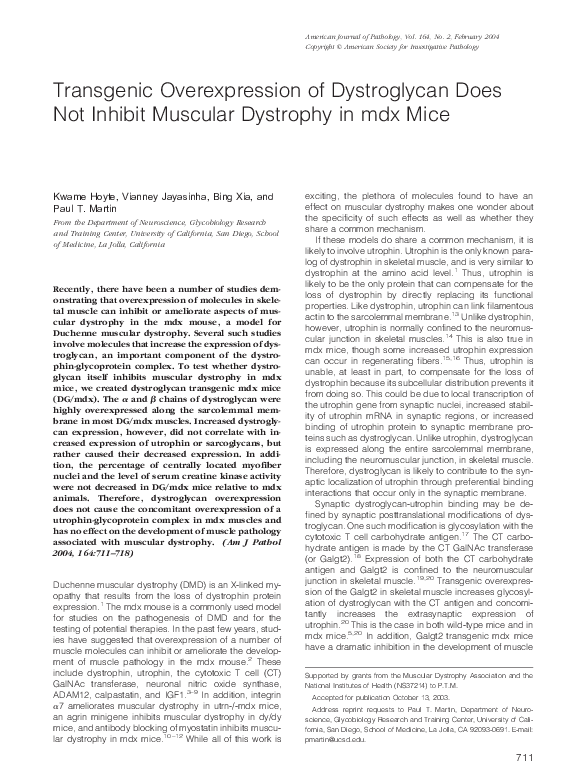 (PDF) Transgenic Overexpression of Dystroglycan Does Not Inhibit ...