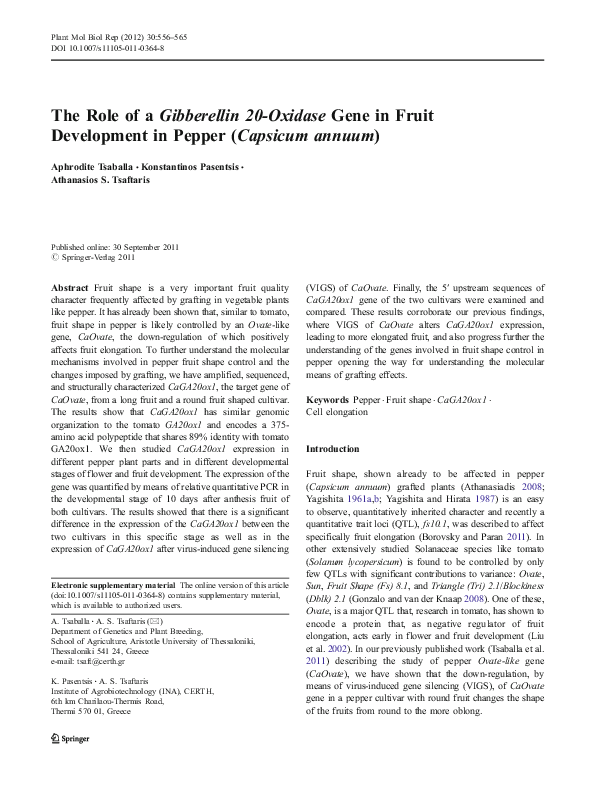 (PDF) Τhe Role of a Gibberellin 20-Oxidase Gene in Fruit Development in ...