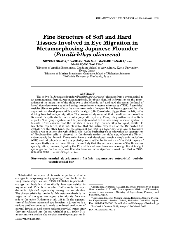 (PDF) Fine structure of soft and hard tissues involved in eye migration in metamorphosing
