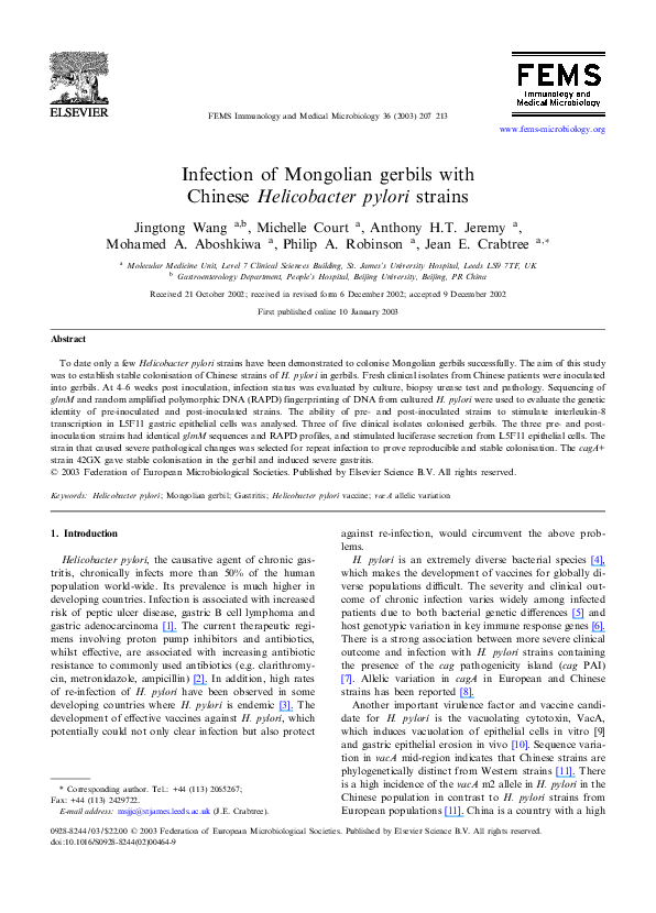 (PDF) Infection of Mongolian gerbils with Chinese Helicobacter pylori ...