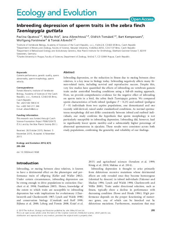 (PDF) Inbreeding depression of sperm traits in the zebra finch