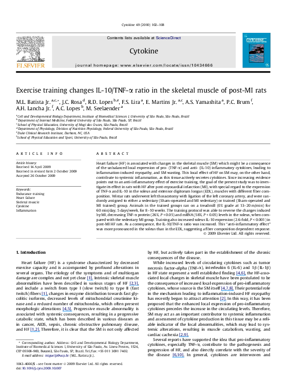 (PDF) Exercise training changes IL-10/TNF-α ratio in the skeletal ...