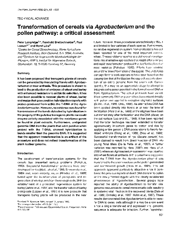 (PDF) Transformation of cereals via Agrobacterium and the pollen ...