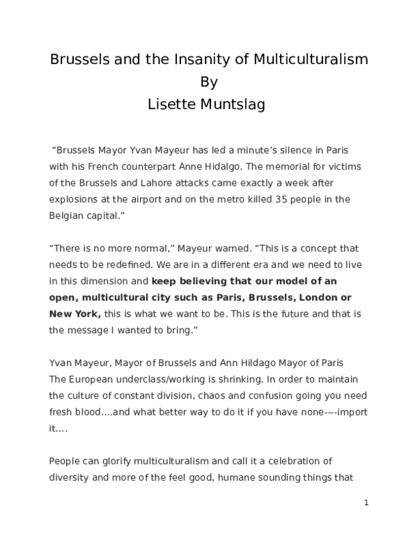 Essay about brusselsdoc 08 picture