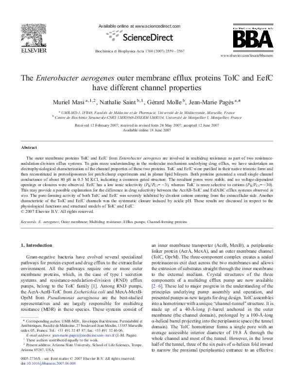 (PDF) The Enterobacter aerogenes outer membrane efflux proteins TolC ...