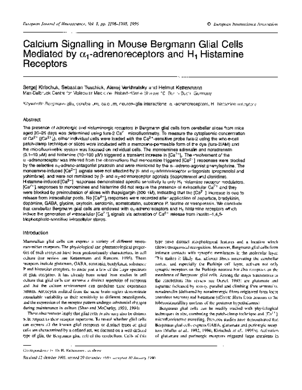 (PDF) Calcium Signalling in Mouse Bergmann Glial Cells Mediated by α 1 ...
