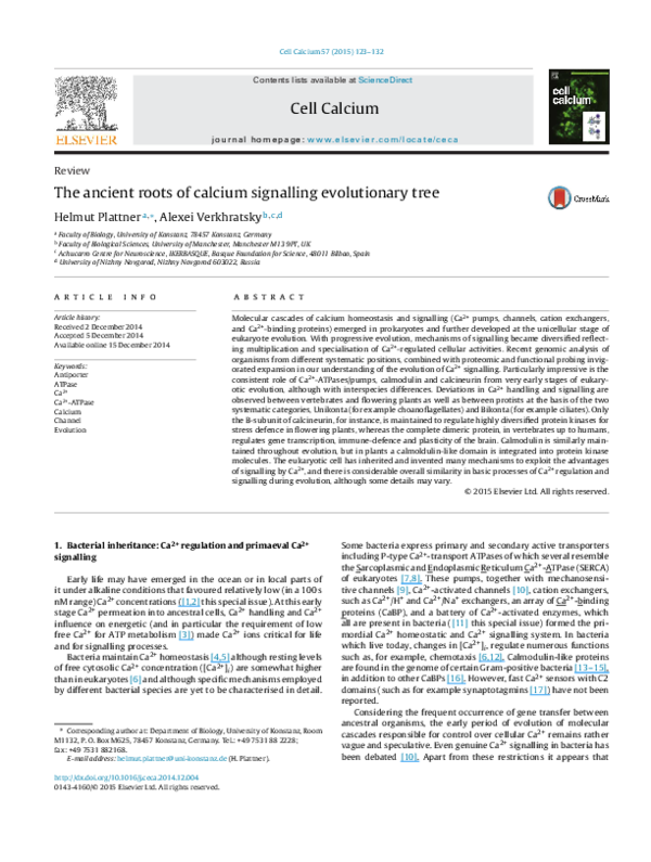 (PDF) The ancient roots of calcium signalling evolutionary tree