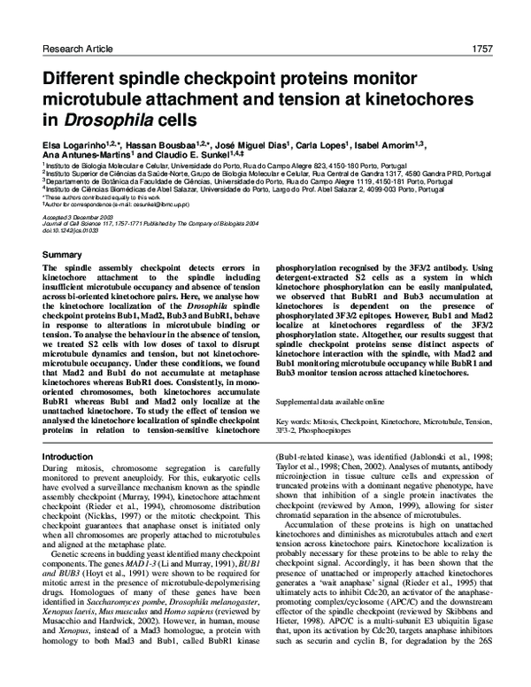(PDF) Different spindle checkpoint proteins monitor microtubule ...