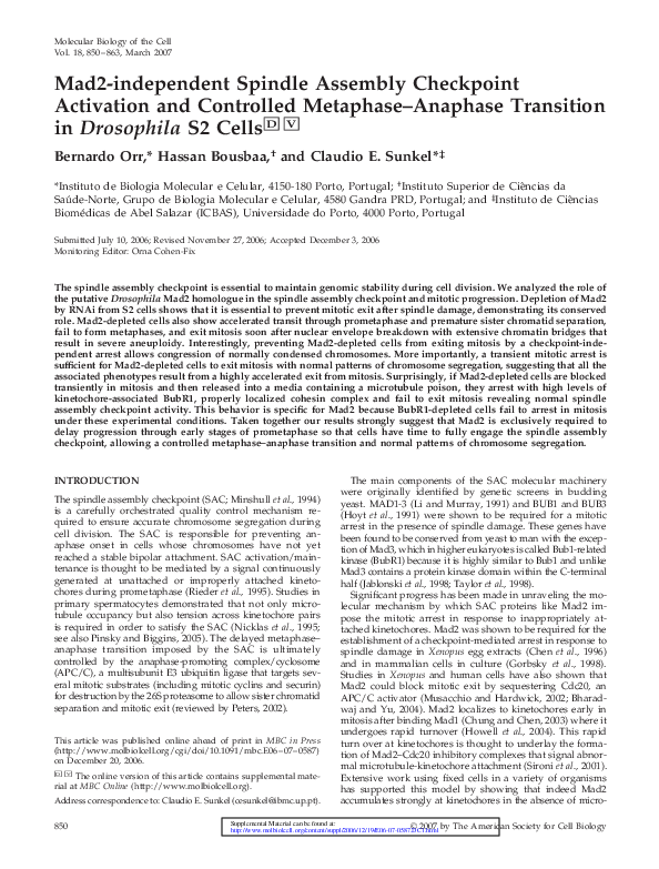 (PDF) Mad2independent Spindle Assembly Checkpoint Activation and