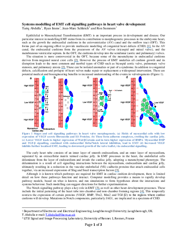 (PDF) Systems modelling of EMT cell signalling pathways in heart valve ...