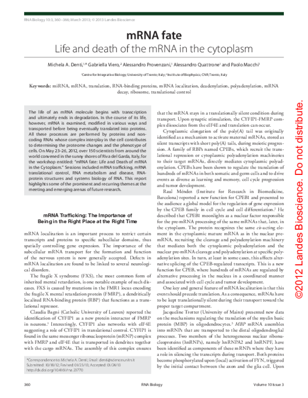 (PDF) mRNA fate: Life and death of the mRNA in the cytoplasm