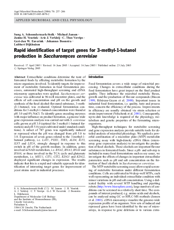 Butanol essay 06 image