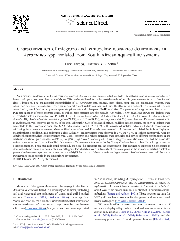 Tetracycline Mail Order
