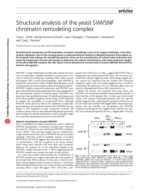 (PDF) Structural analysis of the yeast SWI/SNF chromatin remodeling complex