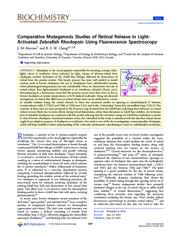 (PDF) Comparative Mutagenesis Studies of Retinal Release in Light ...