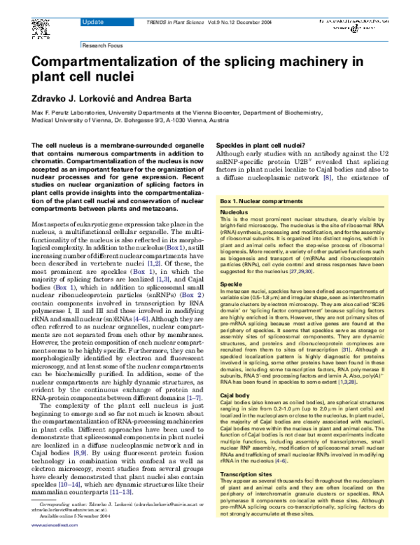 (PDF) Compartmentalization of the splicing machinery in plant cell nuclei