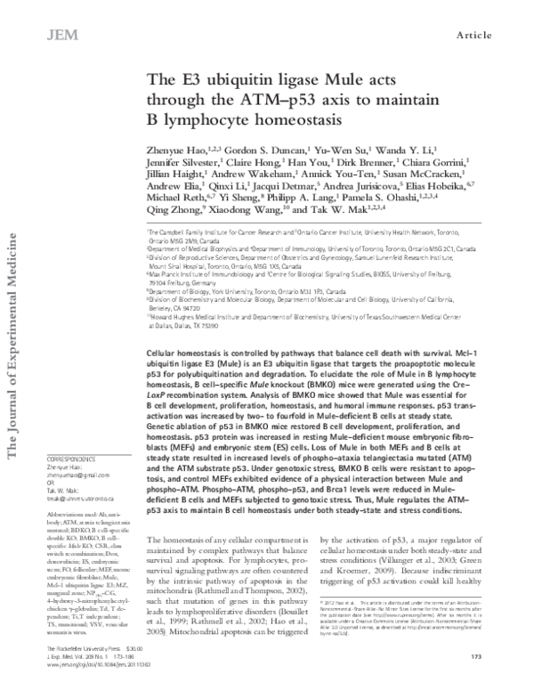 Thesis on ubiquitin 05 picture