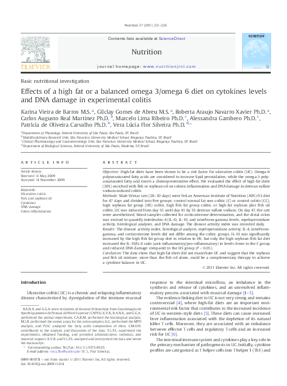 Omega diet essay image
