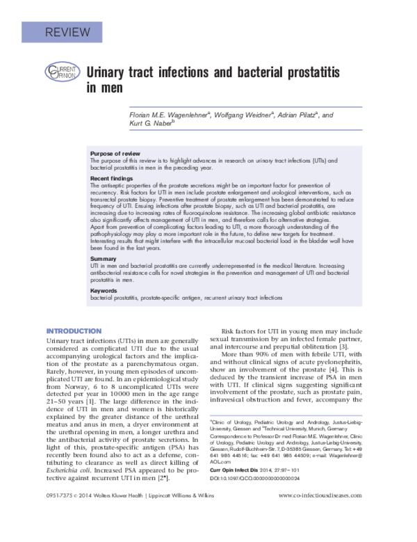 (PDF) Urinary tract infections and bacterial prostatitis in men