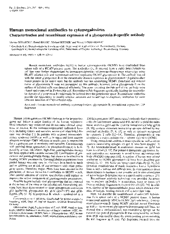 (PDF) Human Monoclonal Antibodies to Cytomegalovirus. Characterization ...