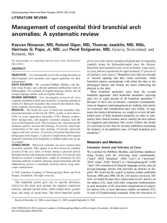 How to write a literature review image