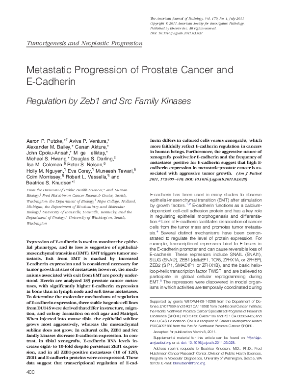 (PDF) Metastatic Progression of Prostate Cancer and E-Cadherin ...
