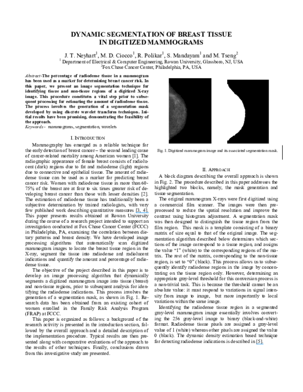 (PDF) Dynamic segmentation of breast tissue in digitized mammograms