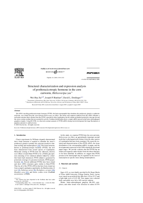 Earworms essay 04 picture