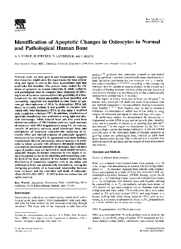 (PDF) Identification of apoptotic changes in osteocytes in normal and ...