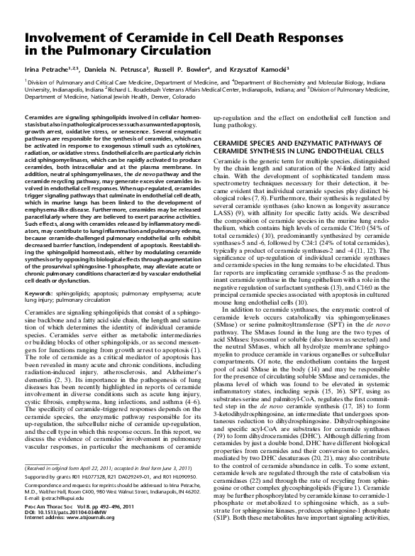 Pulmonary circulation quizlet picture