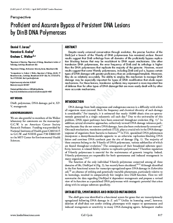 (PDF) Proficient and Accurate Bypass of Persistent DNA Lesions by DinB ...