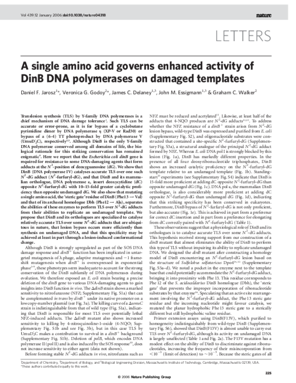 (PDF) A single amino acid governs enhanced activity of DinB DNA ...