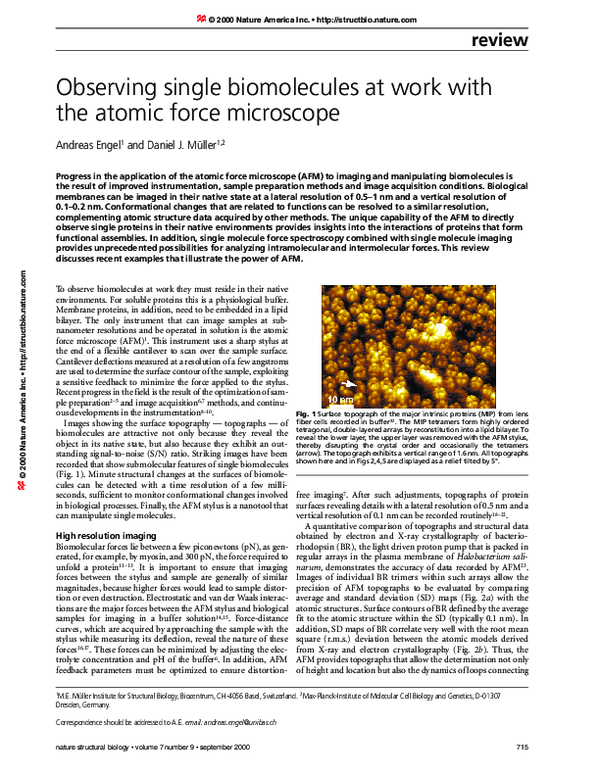 (PDF) Observing single biomolecules at work with the atomic force ...