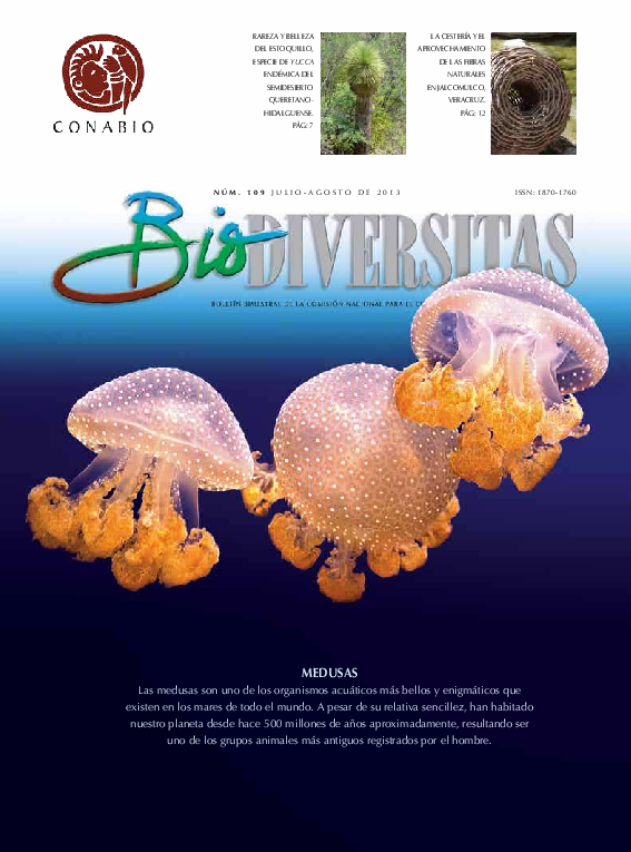 (PDF) Medusas, las bailarinas del mar (Spanish). Jellyfish, dancers of