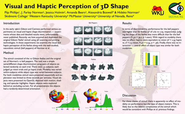 (PDF) Visual and Haptic Perception of 3D Shape