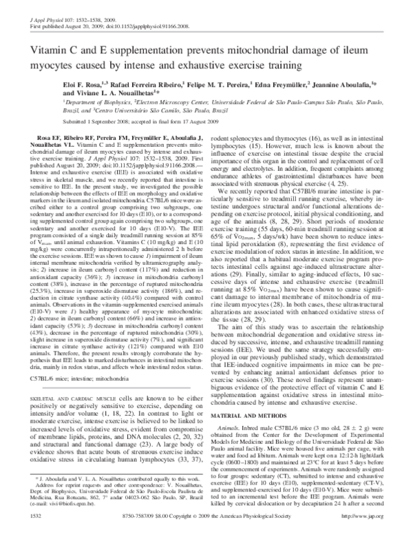 (PDF) Vitamin C and E supplementation prevents mitochondrial damage of ...