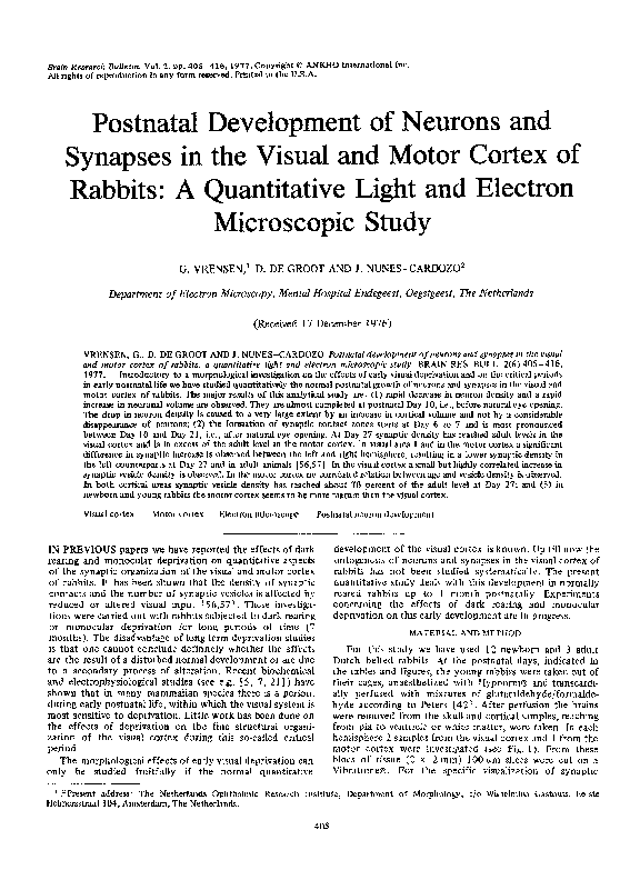 (PDF) Postnatal development of neurons and synapses in the visual and ...