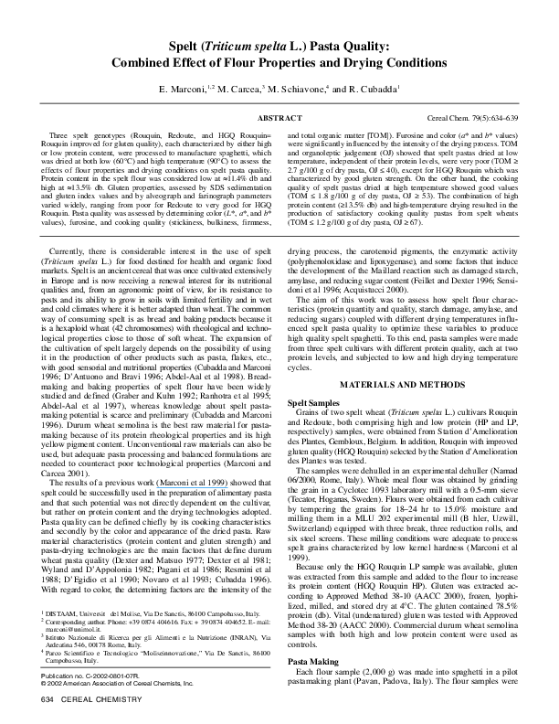 Review of related literature about pasta image