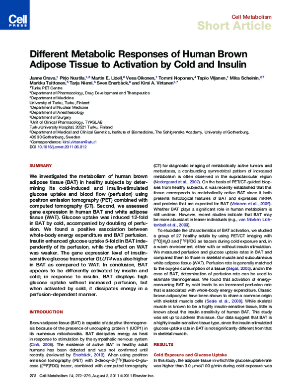 (PDF) Different Metabolic Responses of Human Brown Adipose Tissue to ...