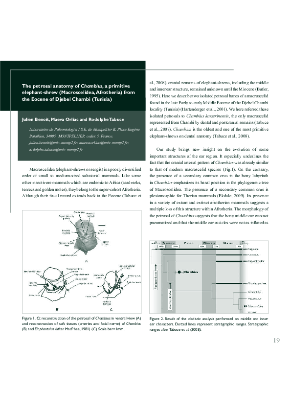 Small as an Elephant PDF Free download Small as an Elephant PDF Free download
