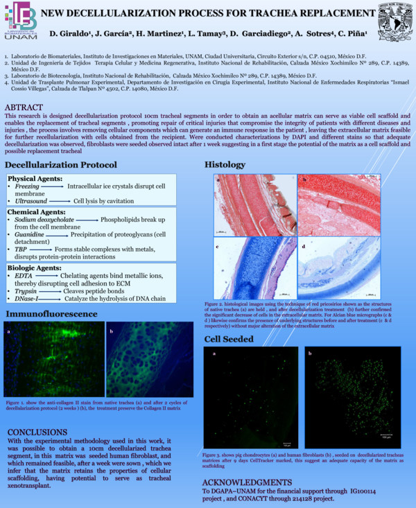 (PDF) New Decellularization Process for Trachea Replacement